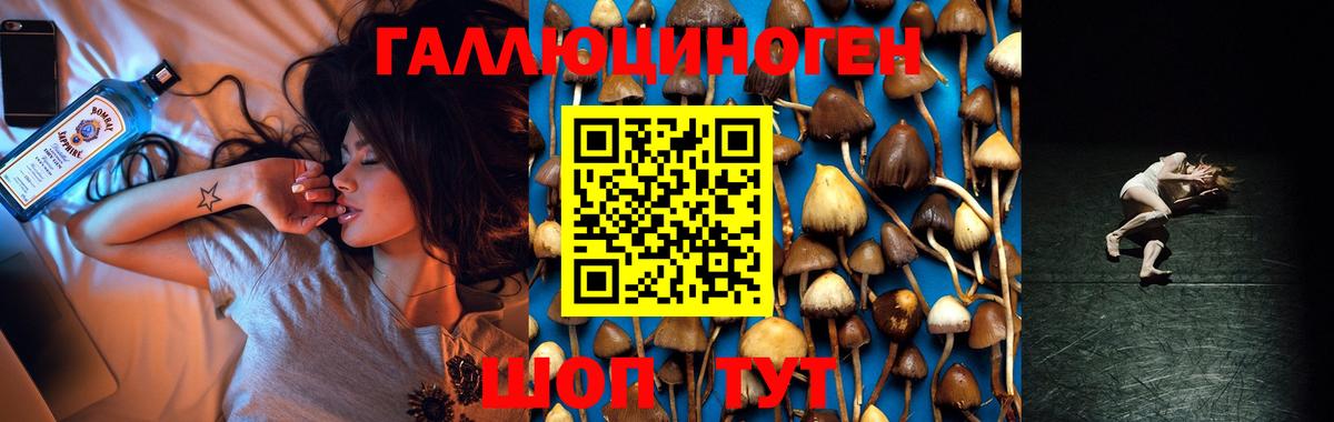 Псилоцибиновые грибы GOLDEN TEACHER Корсаков